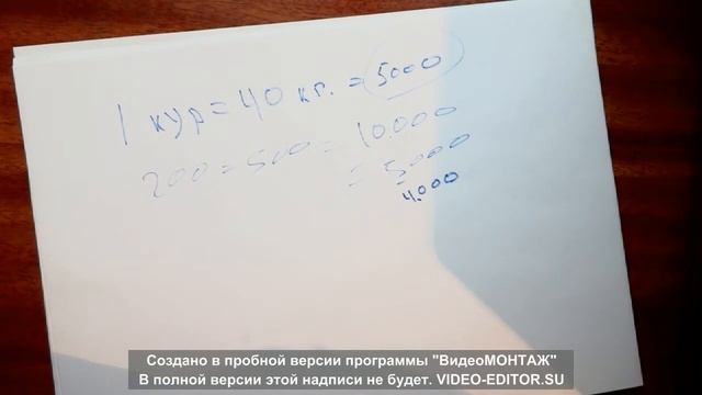Куры как бизнес. Куры несушки. Бизнес на яйце.Доход от курей