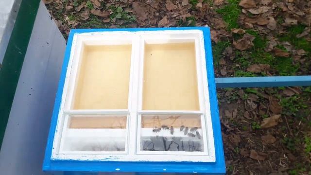 Заселение мини плюсов и доноров к ним смотреть онлайн