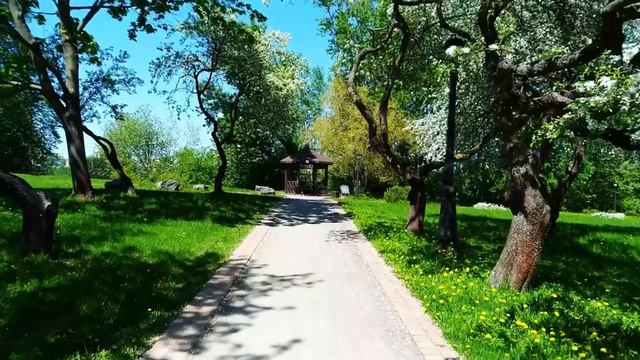 29 апреля — Великий понедельник: что можно и нельзя делать в первый день Страстной седмицы смотреть онлайн