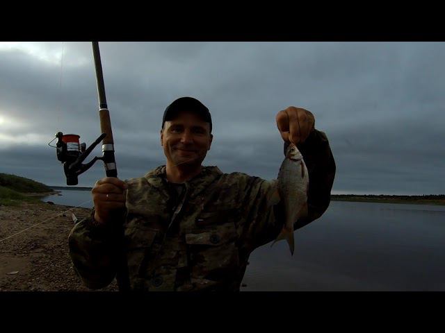 Северная Двина, ЛЕЩ и кукуруза рулит! Вот что из этого вышло! смотреть онлайн