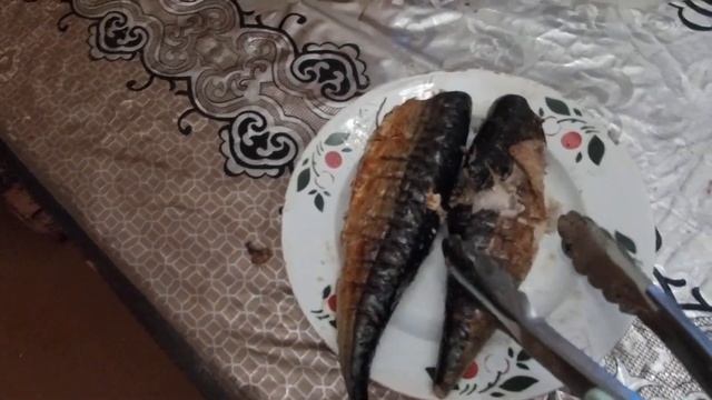 Купили дом,готовим скумбрию на углях смотреть онлайн