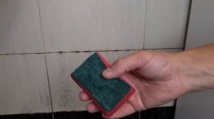 ПЛЕСЕНЬ БОЛЬШЕ НЕ ВЕРНЕТСЯ. Как очистить швы между плиткой от плесени простым чистящим средством