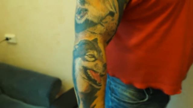 hedgehog-tattoo смотреть онлайн