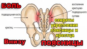 Зажатые нервы поясницы, крестца и копчика портят жизнь. Как освободить их упражнениями?