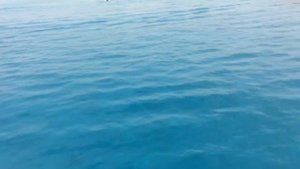 Самый большой нудистский пляж на Ибице Carla Conta