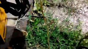 Инверторный сварочный аппарат Eurolux IWM-190