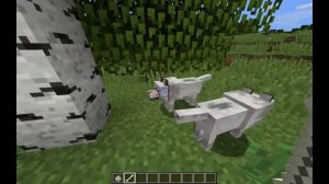 Как приручить волка в Minecraft. How to tame a wolf Minecraft.