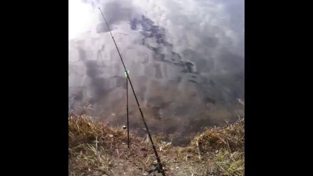 Березино 26.10.2016 - 02.11.2016 смотреть онлайн