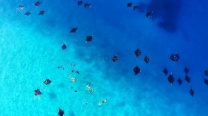 Hanifaru Bay - Baa Atoll Maldives