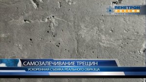 Самозалечивание трещин в бетоне с добавкой Пенетрон Адмикс