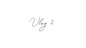 vlog 2 | концерт Анны Егоян, дом | linangel life