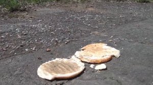 Burger crush/food crush in dirty wedges