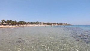 отель Prima Life Makadi Bay. Hurghada  Ägypten. красное море.  coral reef SNORKELING Египет