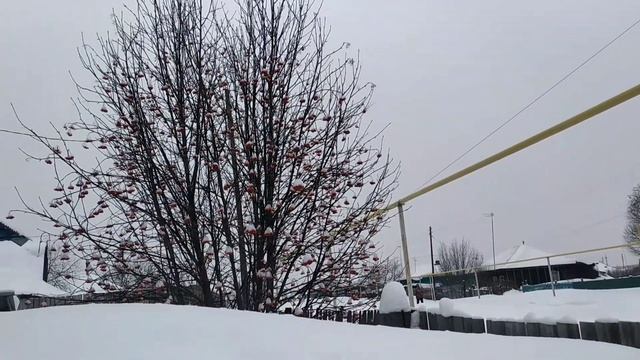 Из города в деревню ?ДЕРЕВЕНСКАЯ жизнь ?Купили ДОМ в ДЕРЕВНЕ ?ЕЖЕДНЕВНАЯ рутина в доме смотреть онлайн