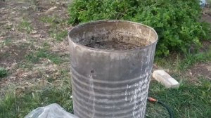 Борьба с крестоцветной блошкой. Травяной настой. Компост