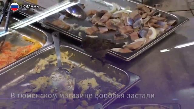В магазине Тюмени воробей ел салаты с прилавка смотреть онлайн
