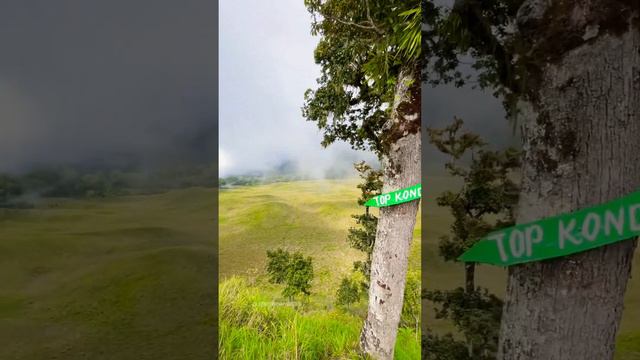 Kabut Savana #sembalun #savanapropok #clouds #hills #adventure #lombok #indonesia #nature #tree #ar