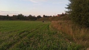 KAYO BASIC YX 140 против ODES PATHCROSS MAX 650 ГОНКА