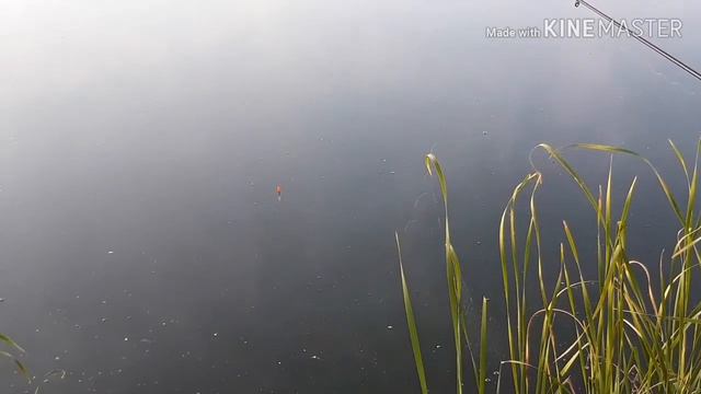 #нарыбалке Я на рыбалке
