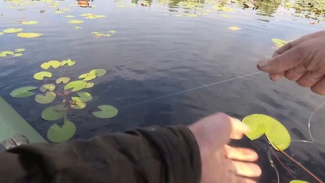 1) Бутылка на щуку с сигнализатором поклёвки в действии. Pike fishing on a plastic bottle. смотреть онлайн
