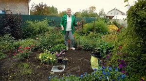 ПОСАДКА ЛУКОВИЦ ЛИЛИЙ ОСЕНЬЮ. ПОДРОБНОСТИ для тех, кто еще не посадил лилии.