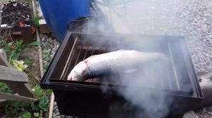 Горячее и холодное копчение