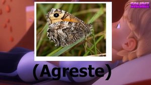 Лайла новый Бражник в 6 сезоне Леди баг и Супер кот