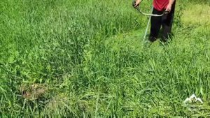 Сенокос ! Заготовка сена ! Как заготовить сено разнотравье ! haymaking !