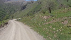 Саварафцаг