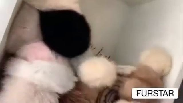 норковые шубы со скидками в Харькове смотреть онлайн