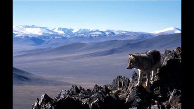 охота на охоту смотреть онлайн