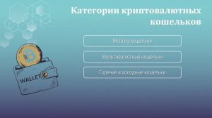 Кошельки для криптовалют - их виды, описания и особенности