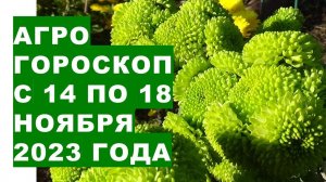 Агрогороскоп с 14 по 18 ноября 2023 года Agrohoroscope from November 14 to 18, 2023