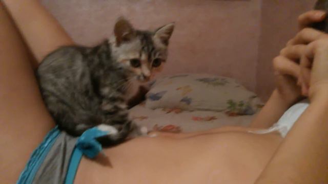 Кот делает массаж смотреть онлайн