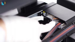 Как не лишиться струйного принтера, если отправляетесь в отпуск