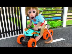 обезьянка едет на мотоцикле в парк