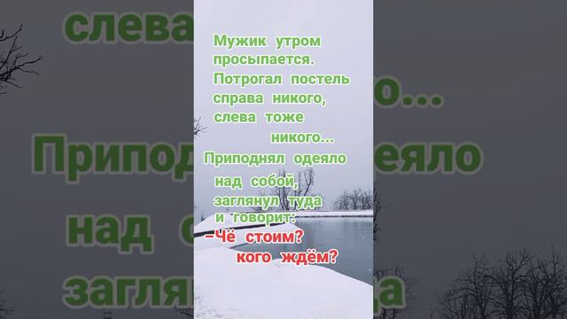 Че стоим? Кого ждём? #юмор #шутки #приколы #развлечения