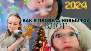 Как я провела новый год //влог