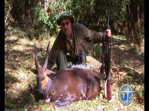 Африканское Сафари в Эфиопии смотреть онлайн