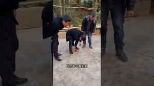 Ходим на трех кирпичах!