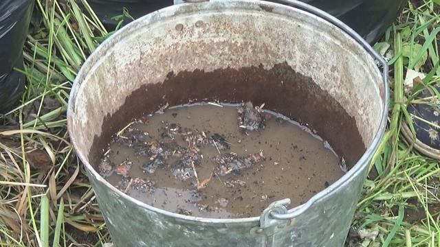 Чем подкормить помидоры в июле смотреть онлайн