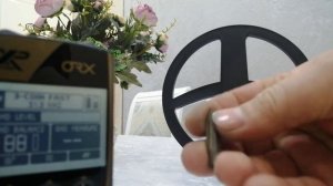 xp orx