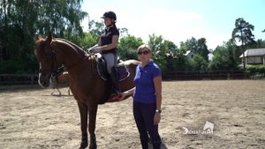 Действие шенкеля. Что такое шенкель? Конный спорт. Верховая езда.