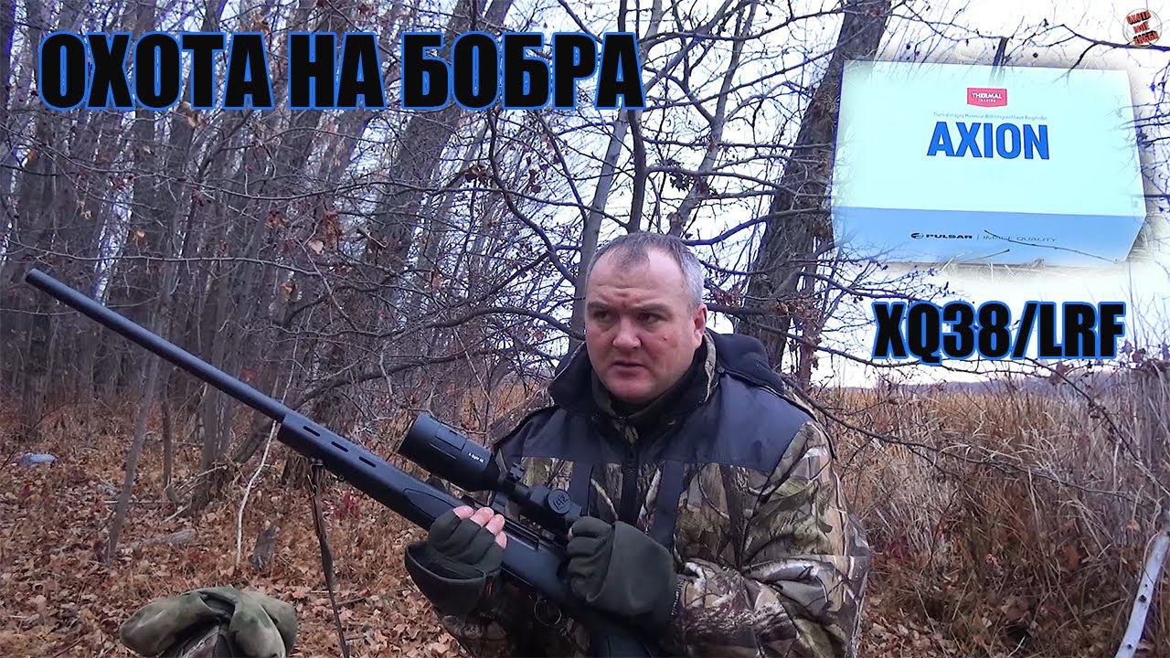 ТРОФЕЙНЫЙ БОБР/ОБЗОР AXION XQ38LRF/ТЕПЛОВИЗОР НА ОХОТЕ