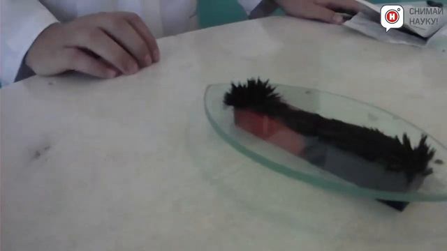 Постоянные магниты  Как сделать простой электромагнит
