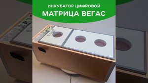 Вегас Матрица