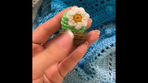 Вязаная брошь «Кактус в горшочке»?