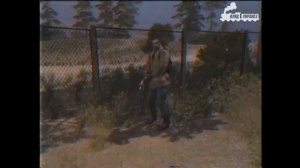 S.T.A.L.K.E.R -Ｚｏｍｂｉｅｄ ｗｉｌｌ ｂｅ ｆｉｎｅ