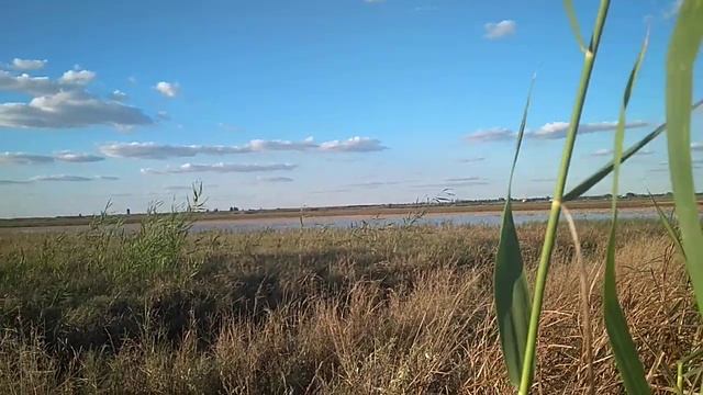 Подсадные утки сработали по селезню смотреть онлайн