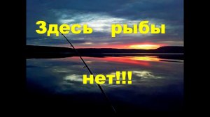 Здесь рыбы нет!